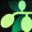 Изображение логотипа децентрализованной биржи Olive