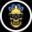 Изображение логотипа децентрализованной биржи Skull Swap