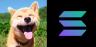 MARU-SOL trading pair