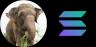 Raju-SOL trading pair