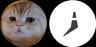 TAOCAT-VIRTUAL trading pair