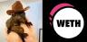 PNUT-WETH trading pair