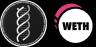 EVOAI-WETH trading pair