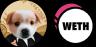 BUSINESS-WETH trading pair