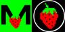 Par comercial mBERRY-BERRY