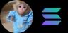 monke -SOL trading pair