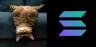 USDCAT-SOL trading pair