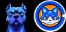 doginme-TOSHI trading pair