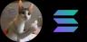 FLIPCAT-SOL trading pair