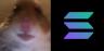 HAMI-SOL trading pair