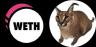 WETH-FLOPPA trading pair