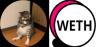 MOEW-WETH trading pair