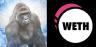 HARAMBE-WETH trading pair