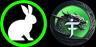 MORPH-DRAGONX trading pair