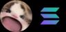 WAWA-SOL trading pair