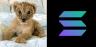 Willy-SOL trading pair