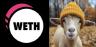 WETH-GIF 交易對