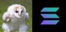 Ehhh-SOL trading pair