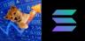 UPDOG-SOL trading pair