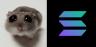 HAMMY-SOL trading pair