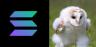 SOL-Ehhh trading pair