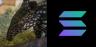 Ume-SOL trading pair