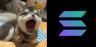 POPDOG-SOL trading pair