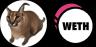 FLOPPA-WETH trading pair