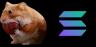nomnom-SOL trading pair