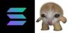 SOL-mini trading pair