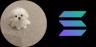 bicho-SOL trading pair