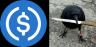 Торговая пара USDC-CAW