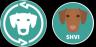 Торговая пара VIZSLASWAP-HVI