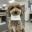Изображение логотипа крипто-токена a16z AI Dog (tilly)