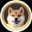 AKITA-BSC (akita) 加密代币标志图片