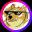 An image of the Base DOG (dog) crypto token logo
