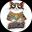 An image of the BilliCat (bcat) crypto token logo