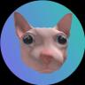 Obraz logo tokena kryptowalutowego Bingus The Cat (bingus)