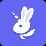 Изображение логотипа крипто-токена Bunni (bunni)