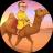 Изображение логотипа крипто-токена CAMEL (camel)