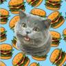 Изображение логотипа крипто-токена Cheezburger Cat (cheez)
