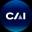 Изображение логотипа крипто-токена Colony Avalanche Index (cai)