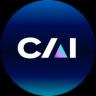 Изображение логотипа крипто-токена Colony Avalanche Index (cai)