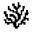 An image of the Coral Protocol (coral) crypto token logo