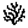 An image of the Coral Protocol (coral) crypto token logo