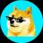 An image of the Dogelogy (doge 0.1) crypto token logo