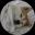 An image of the Dogsheetcoin (dogsheet) crypto token logo