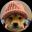 Изображение логотипа крипто-токена DOGWIF2.0 ($wif2)