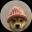 An image of the dogwifcoin (wif) crypto token logo