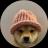 An image of the dogwifcoin (wif) crypto token logo
